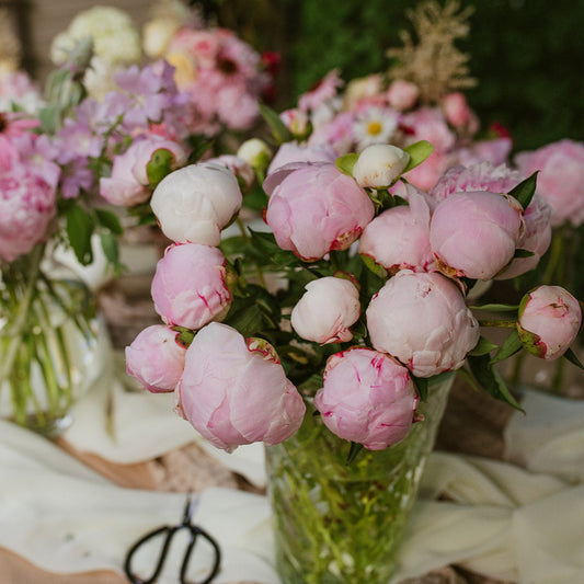 Abonnement floral printemps 2026 💐