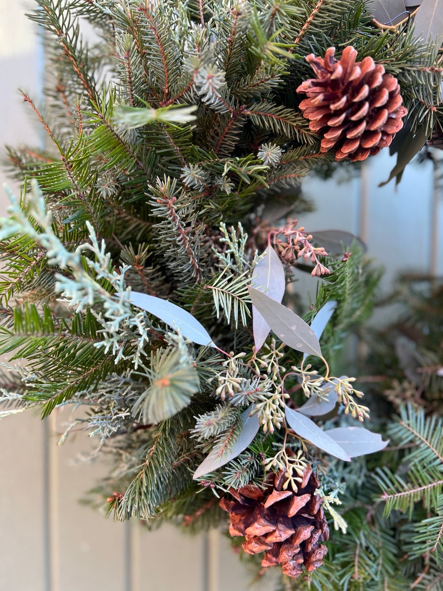 Couronne - La boréale 🌲