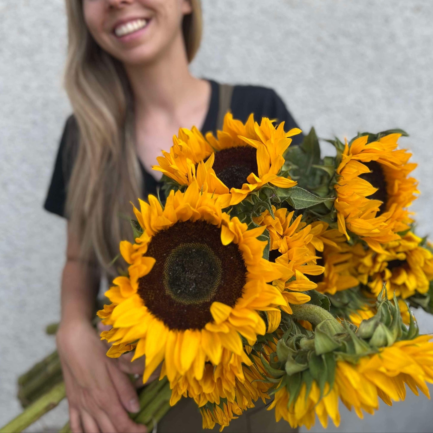 Abonnement fleurs locales d'été 2026🌻
