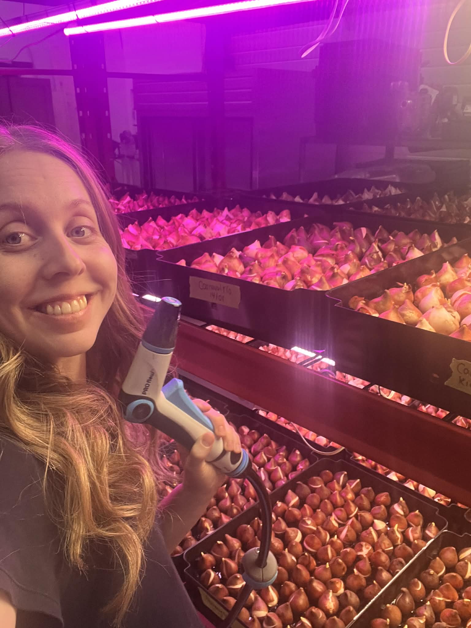 Fleurs locales pour la Saint-Valentin 💘