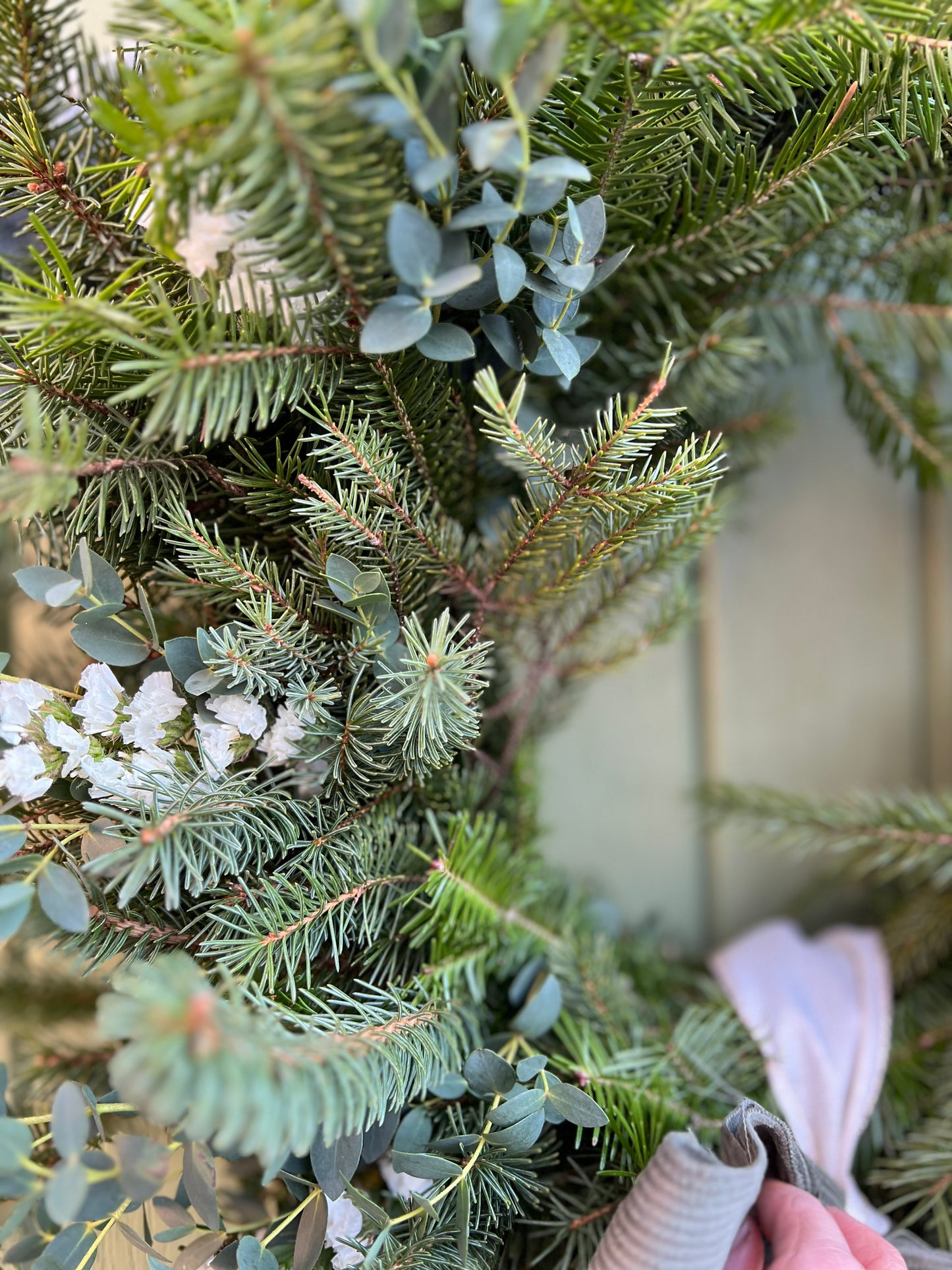 Couronne La botanique 🌿