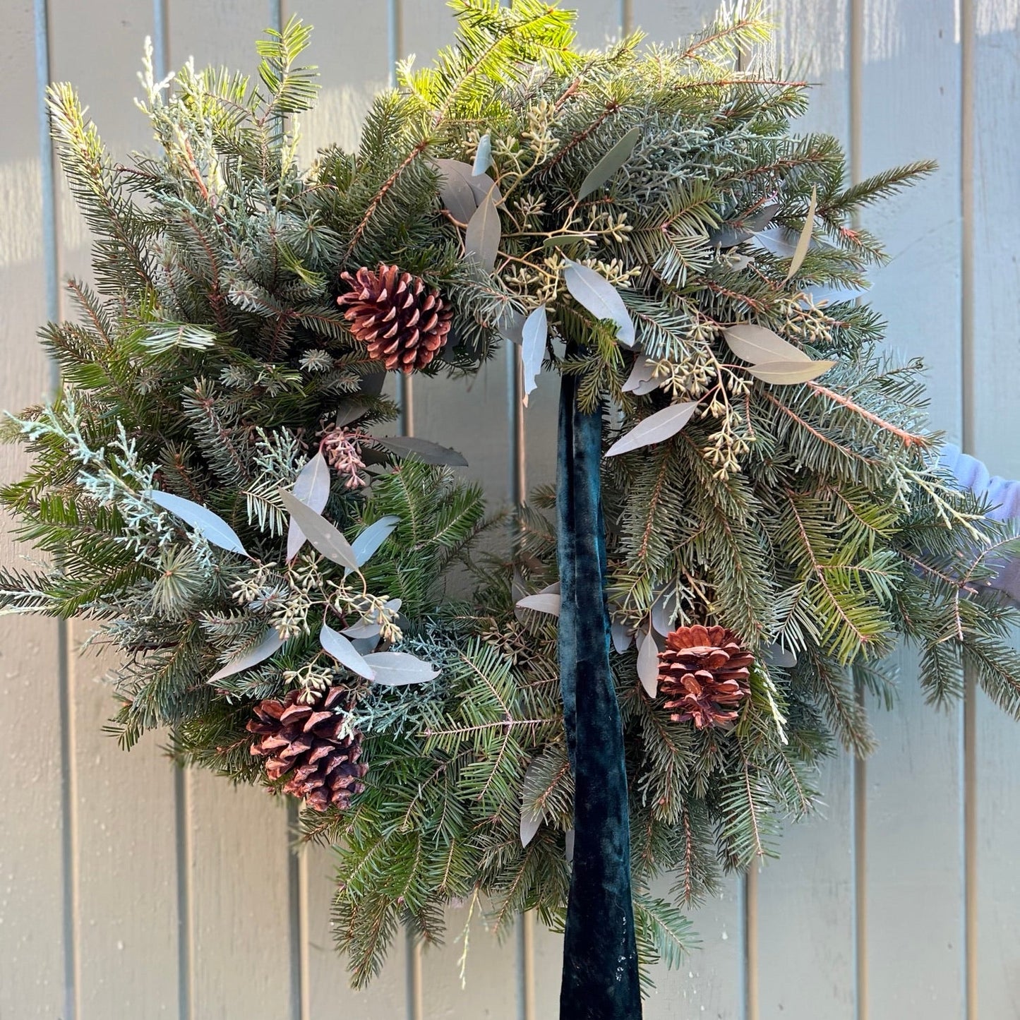 Couronne - La boréale 🌲