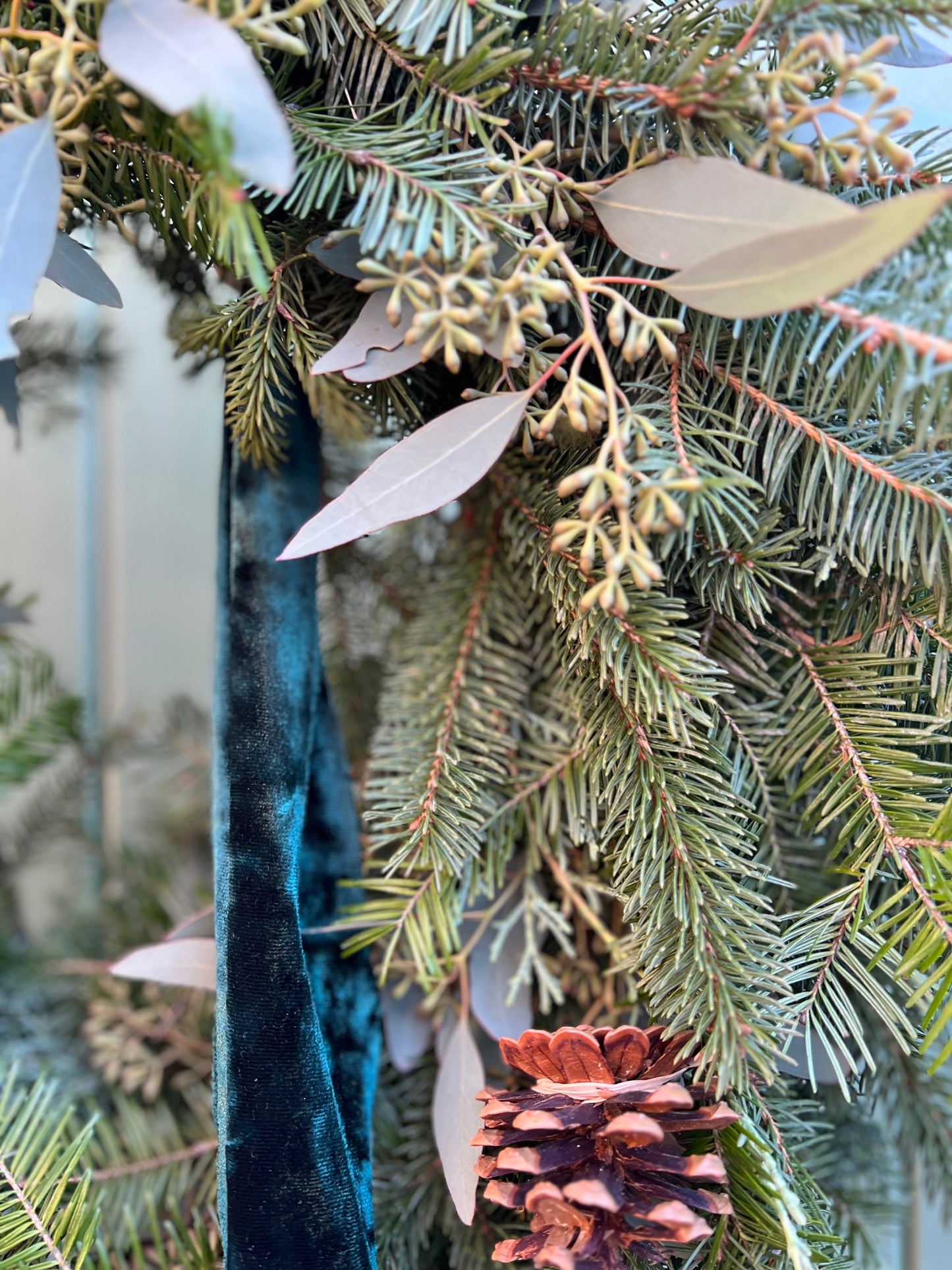 Couronne - La boréale 🌲