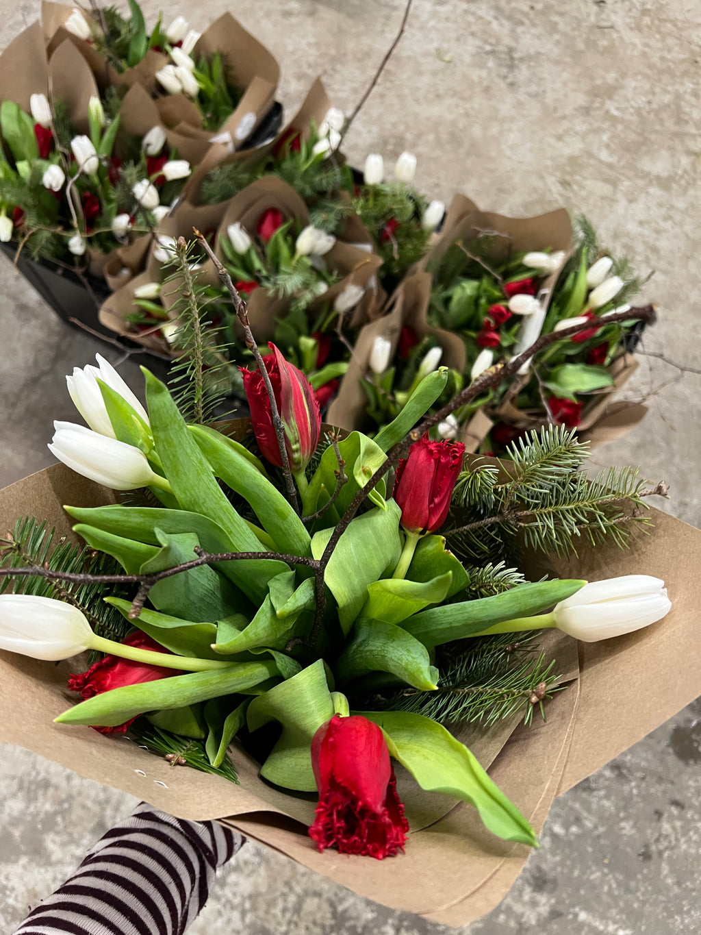 Bouquet of TULIPS - Women's Day ♀️🌷
