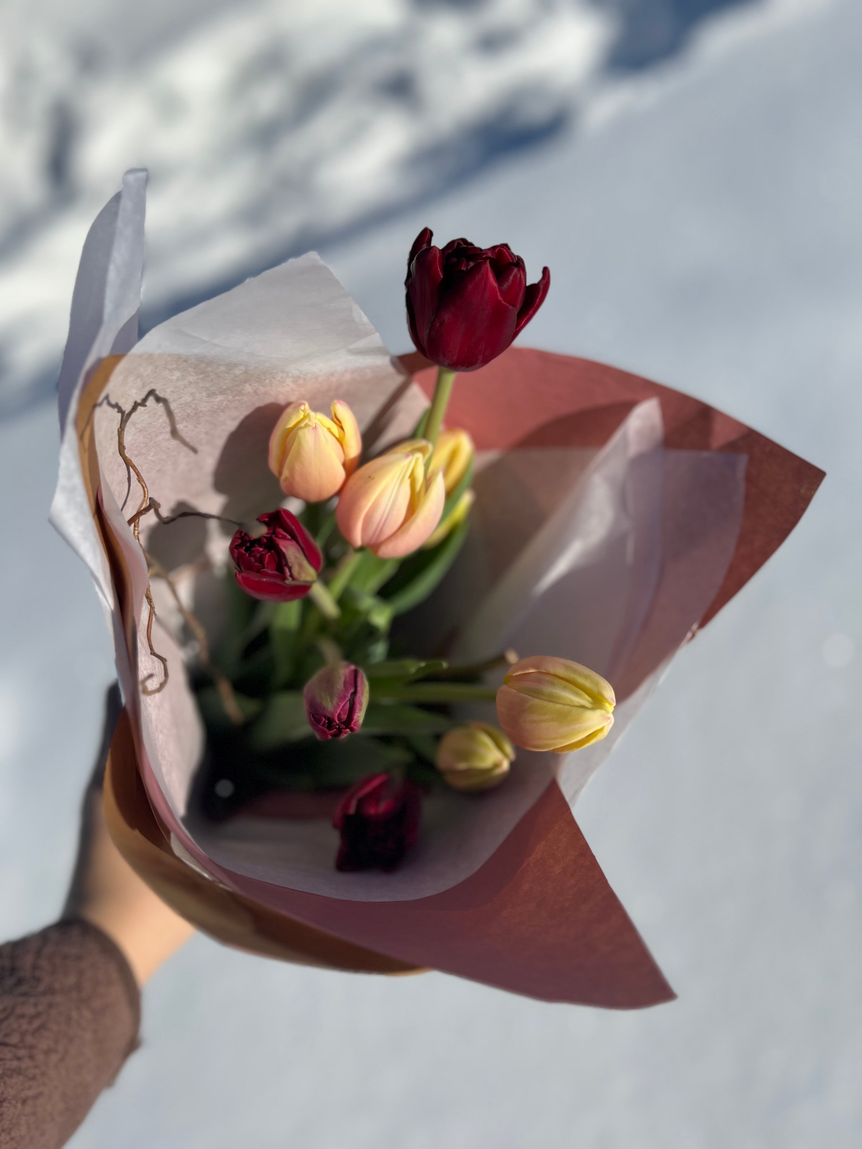 Abonnement TULIPES nordique locales 2026🌷