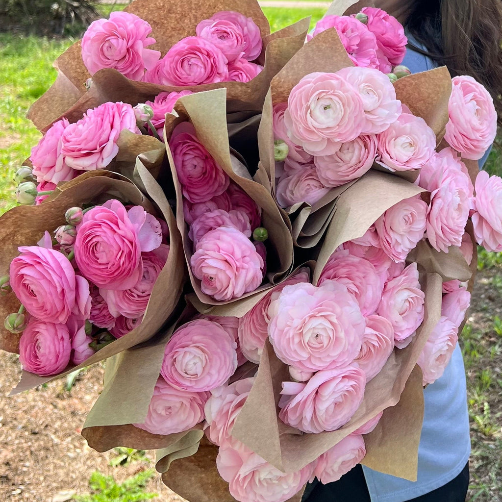 Spring 2026 Flower Subscription 💐