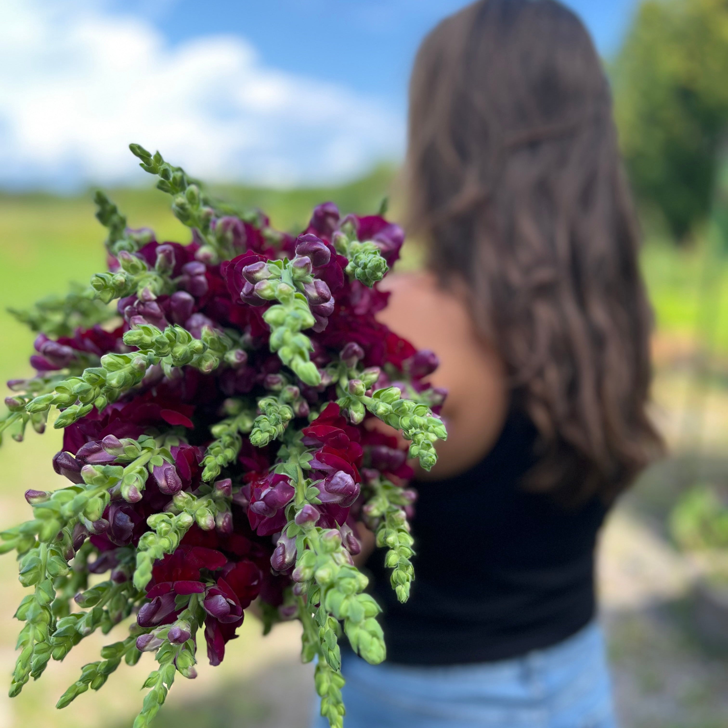 Bouquet - long weekend de l'Action de grâce 🌻