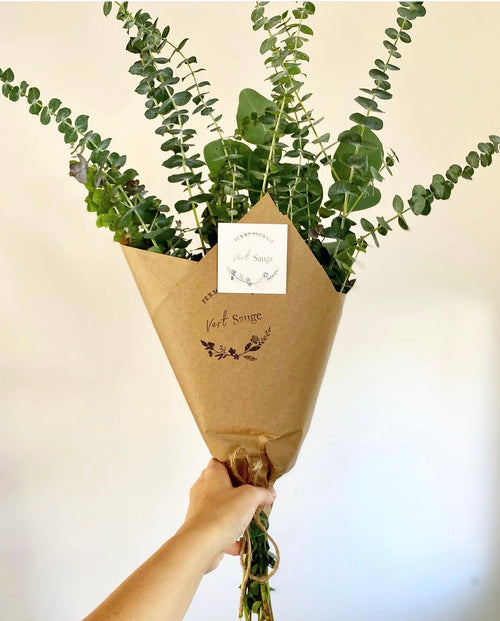 Bouquet d'eucalyptus 🌿