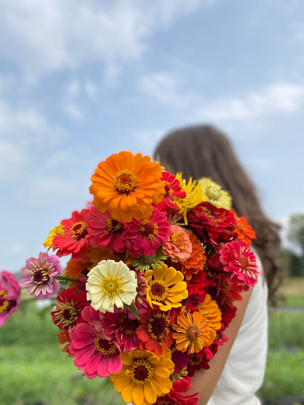 Arrangement floral d'automne – Centre de table🍂