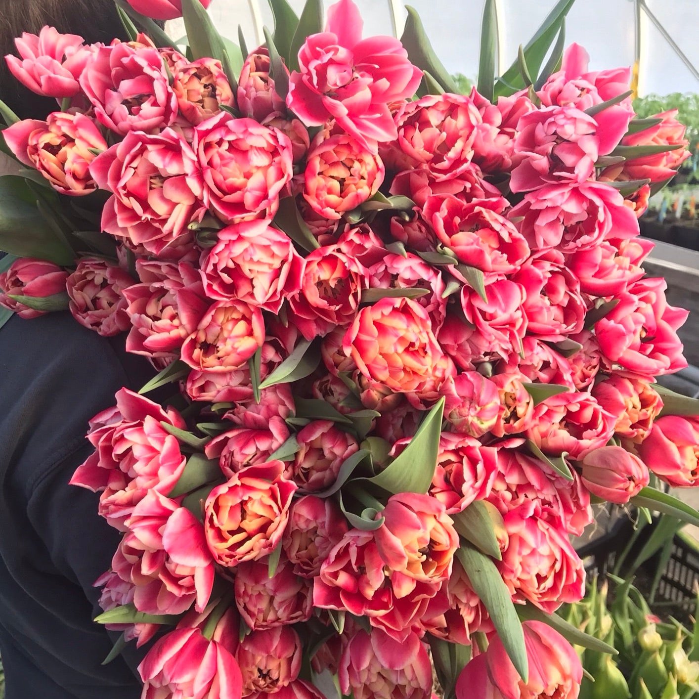 Abonnement floral printemps 2026 💐