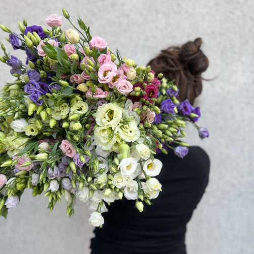 Abonnement fleurs locales d'été 2026🌻