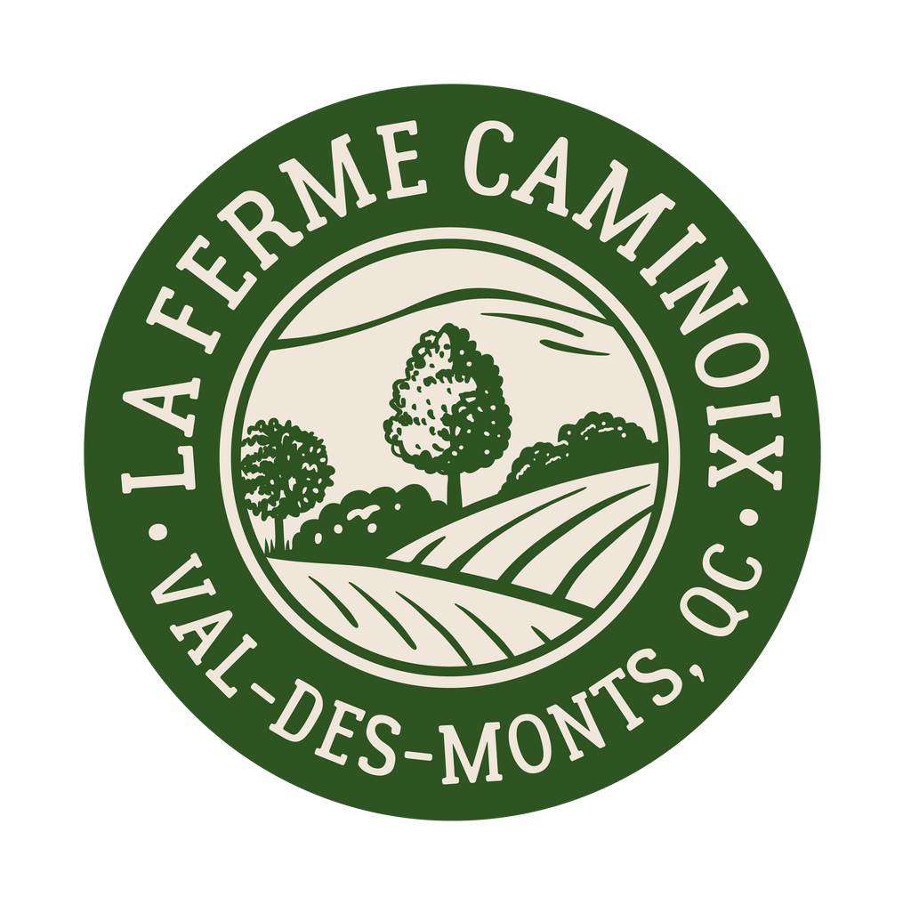 Atelier de couronne de sapinage naturel