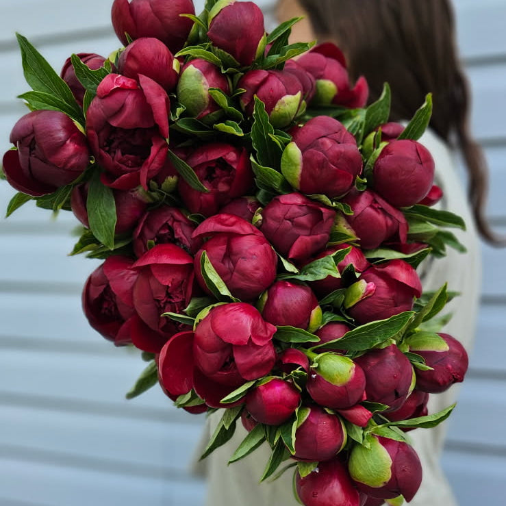PRÉVENTE - Abonnement floral printemps 2027 💐